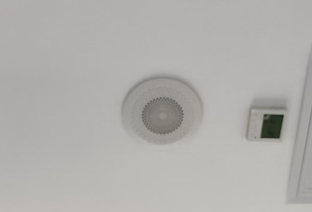 V20240826.jpg